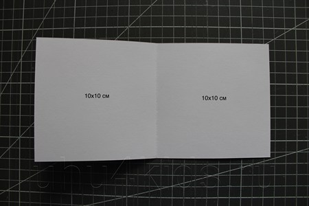 ���������-�������� �� �������